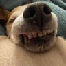 Profilbild von 𝓓𝓪𝓷𝓲