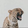 Baddieslayer's profile picture