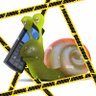 snailgaming🐌's profile picture
