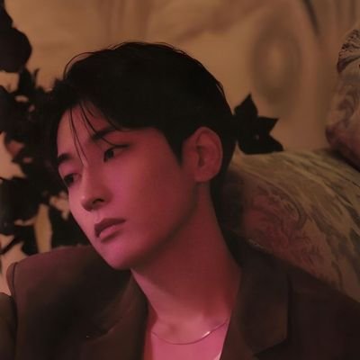 alex 🐾 🍀's profile picture
