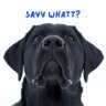 SayyWhatt's profile picture