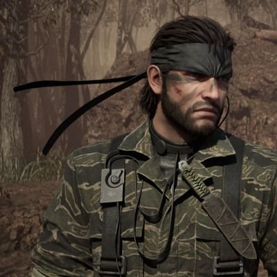 VisualFidelity's profile picture