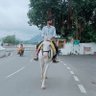 Profilbild von Kr_govind_singh_bujad