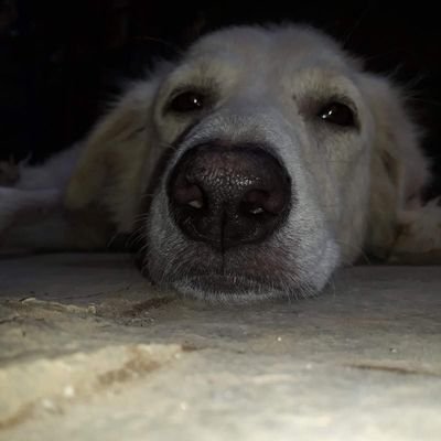 XyzAbc1424064's profile picture