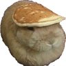 dewlap404 的头像