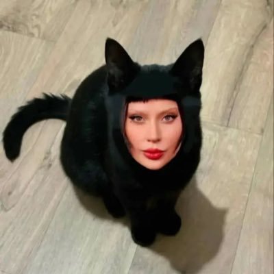 จูดี้กาก้า's profile picture