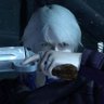 Profilbild von D