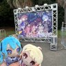 Фото профиля こま