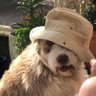 Profilbild von Ted