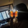 butt_terfly's profile picture