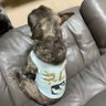 ゆったり〜ん profil fotoğrafı