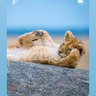 Mabano Focus profil fotoğrafı