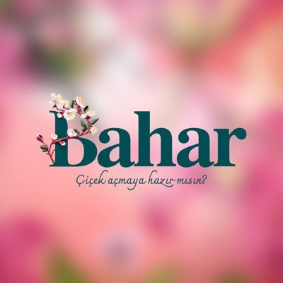 dizibahar's profile picture