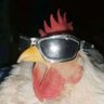 Profilbild von Zamir