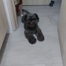 Фото профиля Cesar