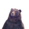 Profilbild von なかやま