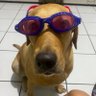 Chatrícia's profile picture