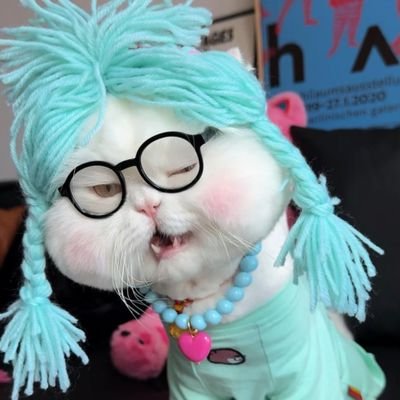 Guillermin27768's profile picture