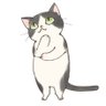 鳩ぽっぽ's profile picture