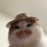 🦊~veeวีวี่~🦊 profil fotoğrafı