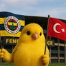 Şopar Kanarya's profile picture