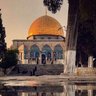 محمد الموسى profil fotoğrafı