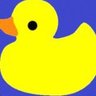 Profilbild von theDuckGuesses