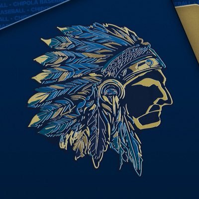 Chipola Baseball's profile picture