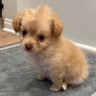 Fuzzy Bear 的头像