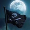 la piraterie n’est jamais finie's profile picture