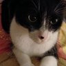 miri jime profil fotoğrafı