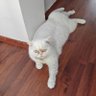 Фото профиля Omer