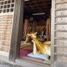 みい 的头像