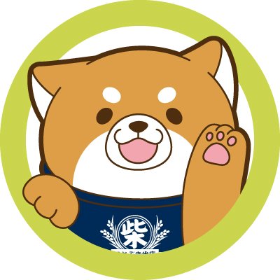 忠犬もちしば【公式】's profile picture