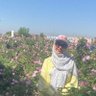 Profilbild von Farkhondeh