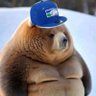 Dak's profile picture