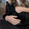 Фото профиля Coco the Cat