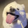 uknown's profile picture