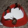 ꙮSnail Factsꙮ profil fotoğrafı