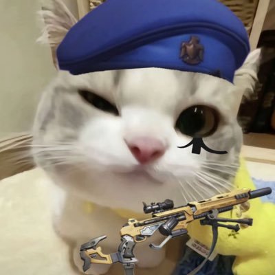 peshak_ak's profile picture
