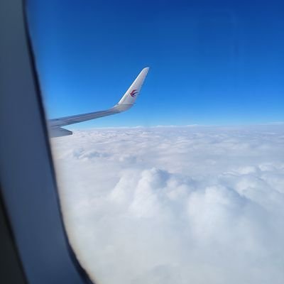 KyleTsung's profile picture