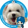 もふもふ⚾️ profil fotoğrafı