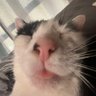 bem profil fotoğrafı