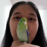 วิภาพรรณ เจริญศิริ profil fotoğrafı