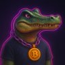 CryptoNavigator's profile picture