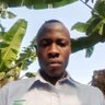 Martin Abia's profile picture