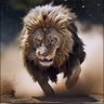 Ercan Aklıfazla's profile picture