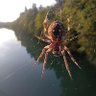 Фото профиля LaStrega Невидимый