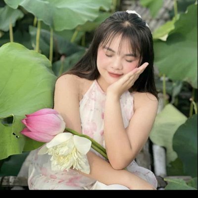 BÉ MUN's profile picture