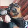 maiteé 🧡's profile picture
